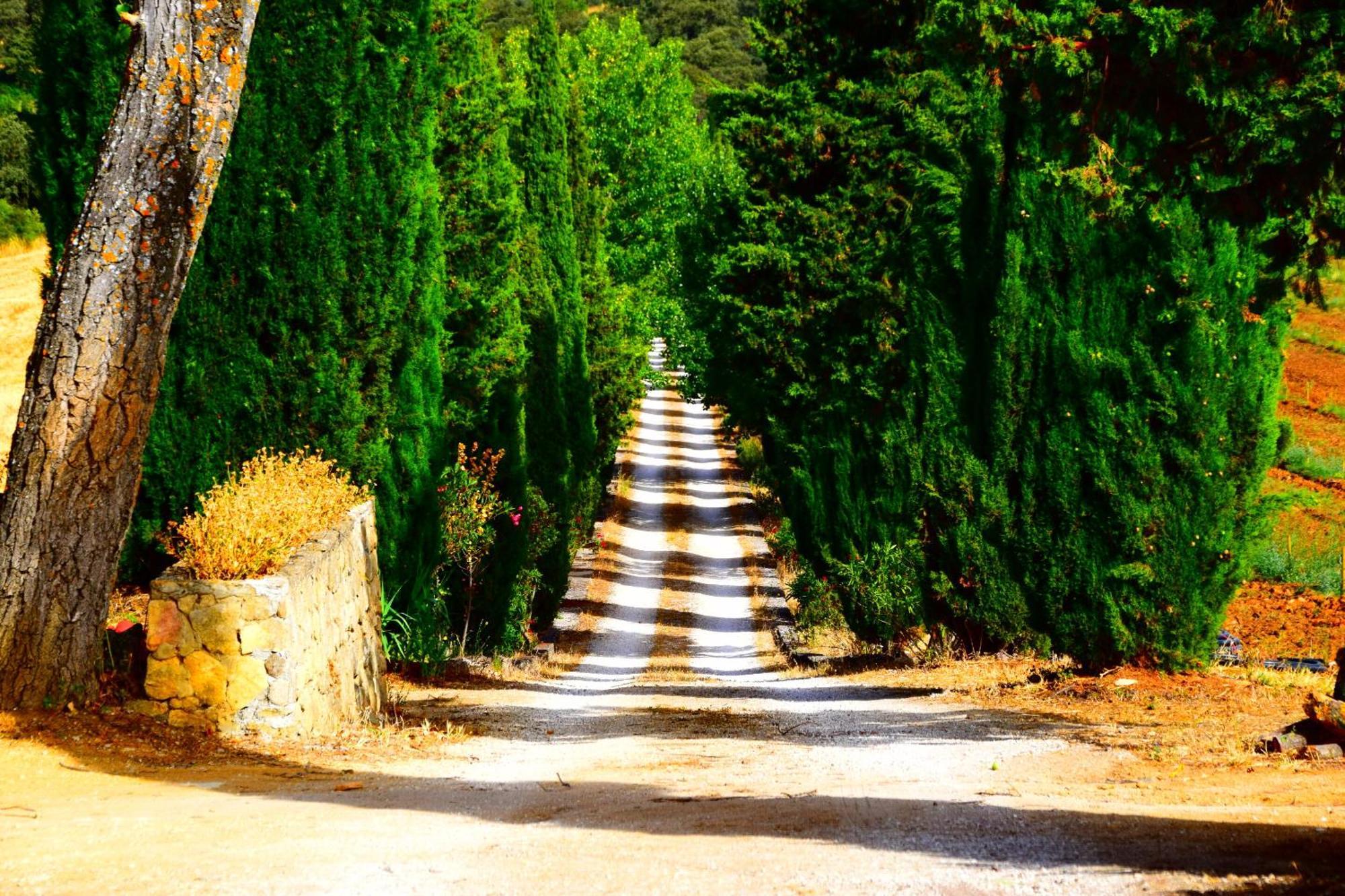 Villa Casa Alta Ronda Bagian luar foto